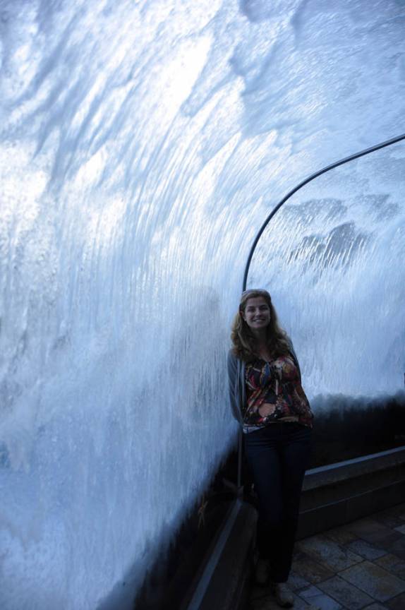A sensação de estar abaixo de uma onda, no Aquário de Monterey, no litoral da Califórnia, nos Estados Unidos